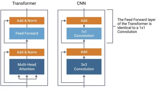 A vision transformer model analyzing an image