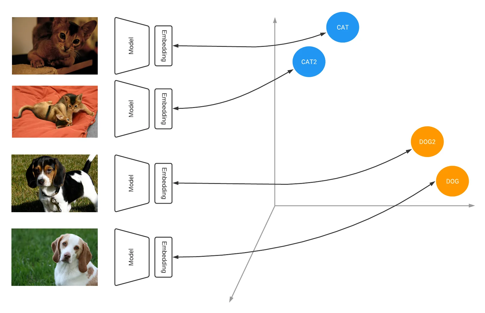 A conceptual illustration of image similarity algorithms