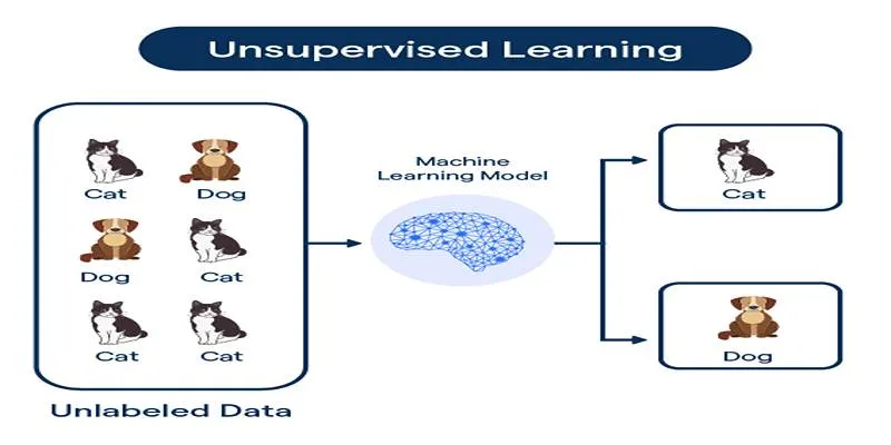 Real-World Examples of Unsupervised Learning
