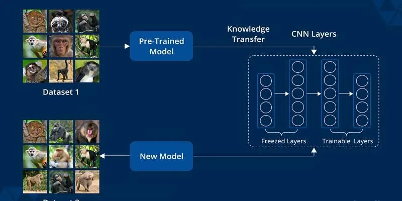 Transfer Learning
Process