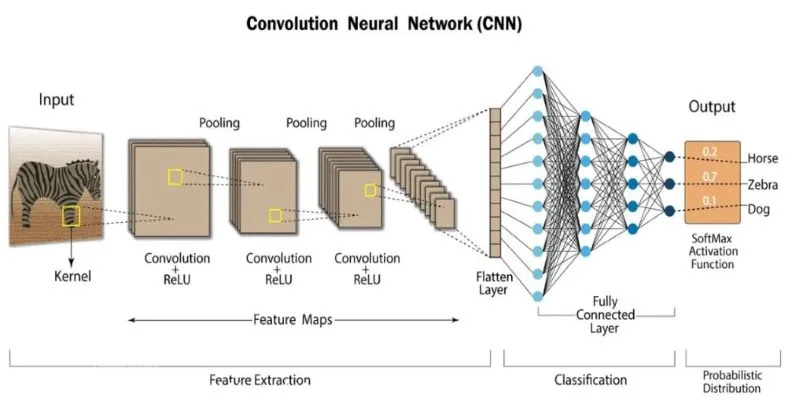 CNN Architecture