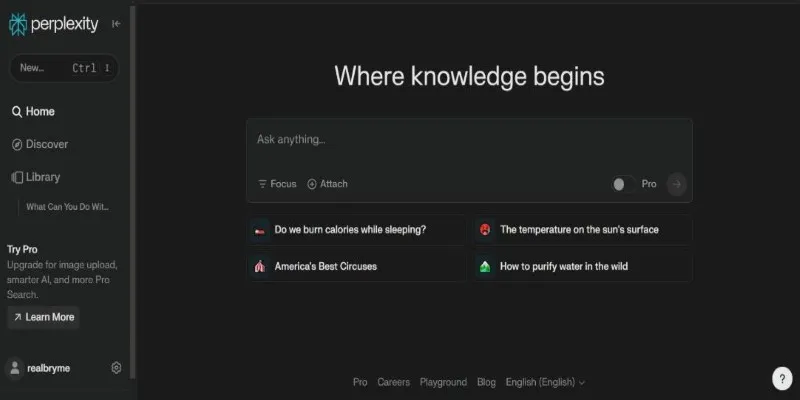 Perplexity AI in Action