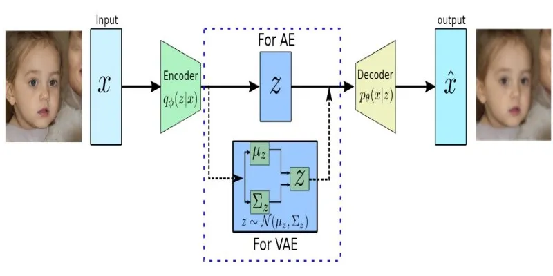 VAE Structure