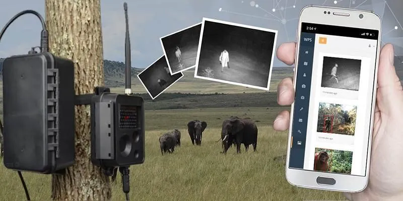AI in wildlife conservation
