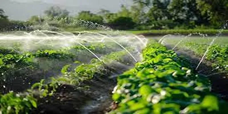 AI in Agriculture