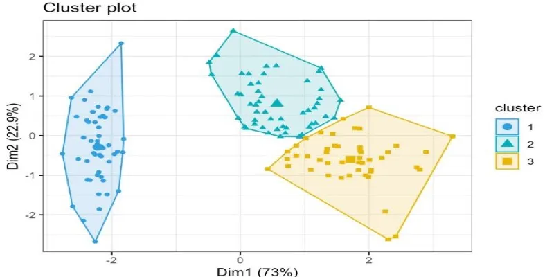 Cluster Visualization