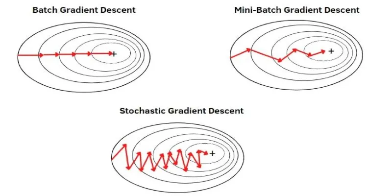 Gradient Descent Types