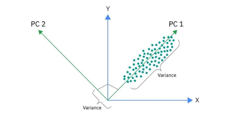 Data Preparation