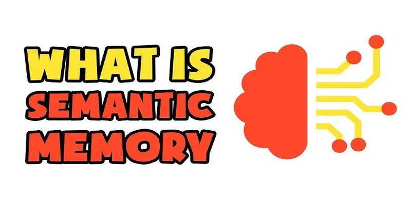 Semantic Memory Illustration