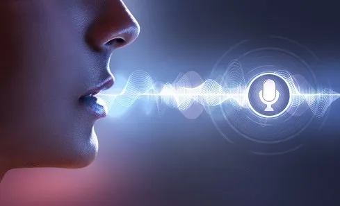 Voice assistant
