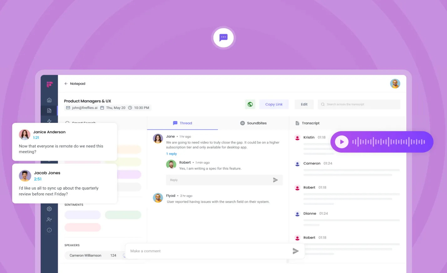 Fireflies comment feature