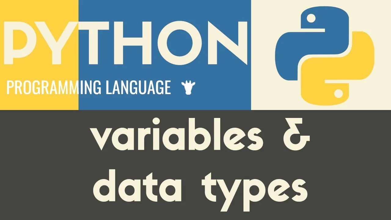 Python code snippet showing variables and data types